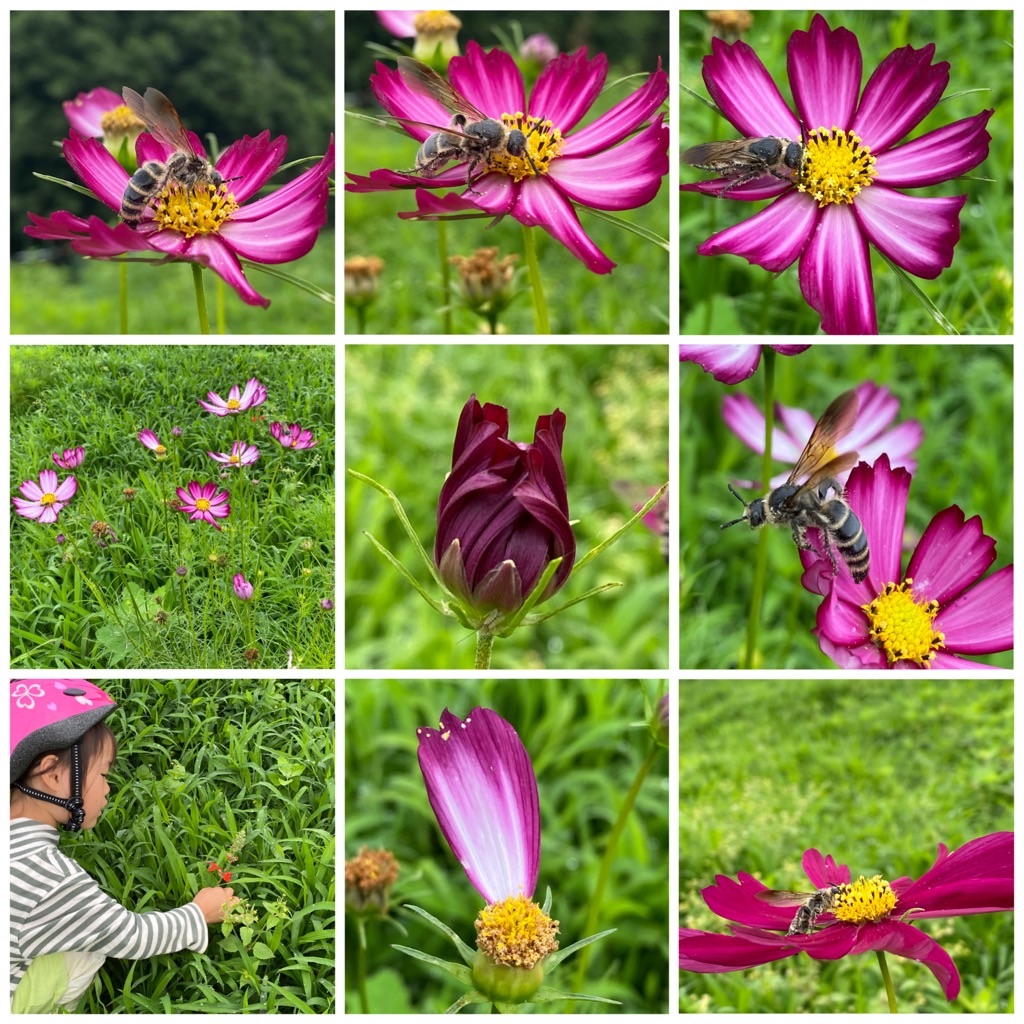 f:id:dragontone:20220618142617j:image