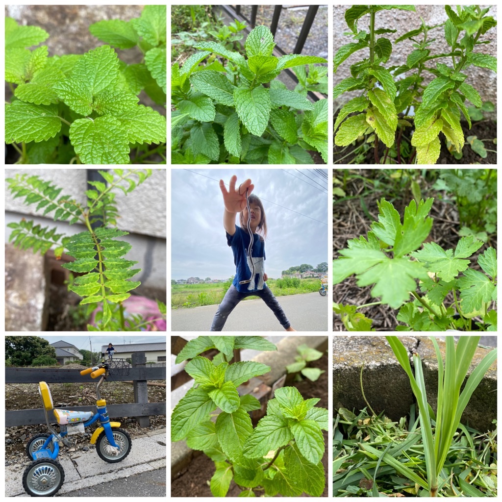 f:id:dragontone:20220618142622j:image