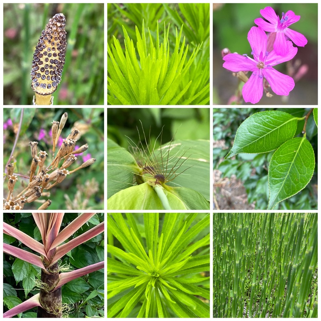 f:id:dragontone:20220618142634j:image