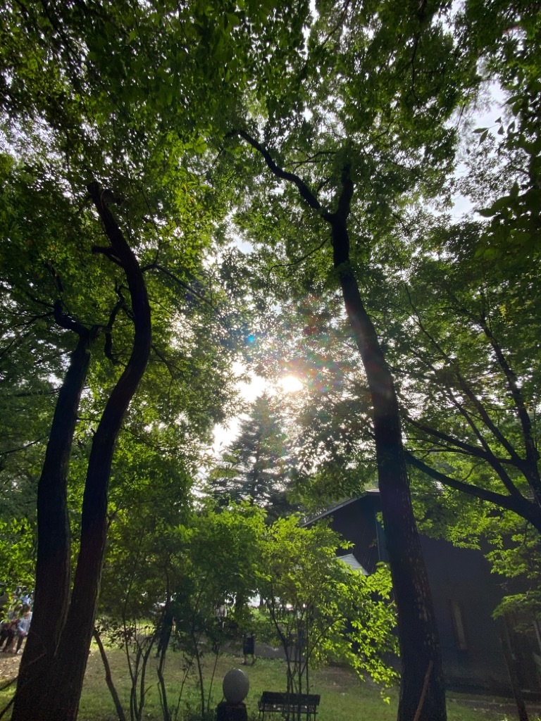f:id:dragontone:20220919235746j:image