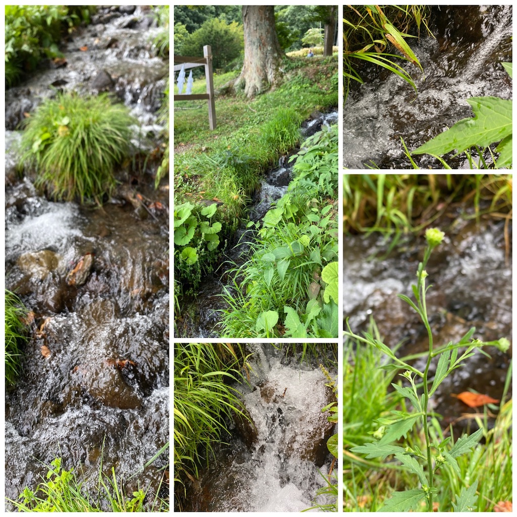 f:id:dragontone:20230911191148j:image f:id:dragontone:20230911191148j:image