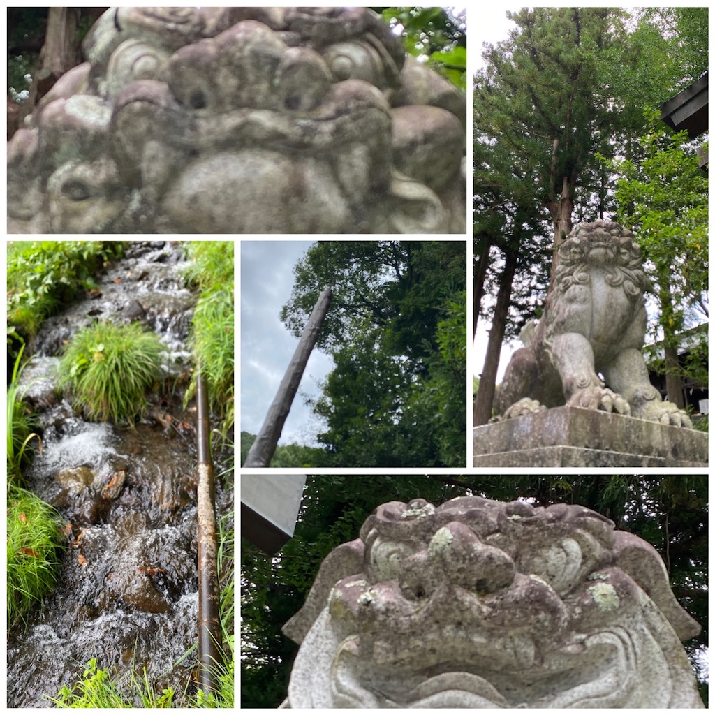 f:id:dragontone:20230911191215j:image f:id:dragontone:20230911191215j:image