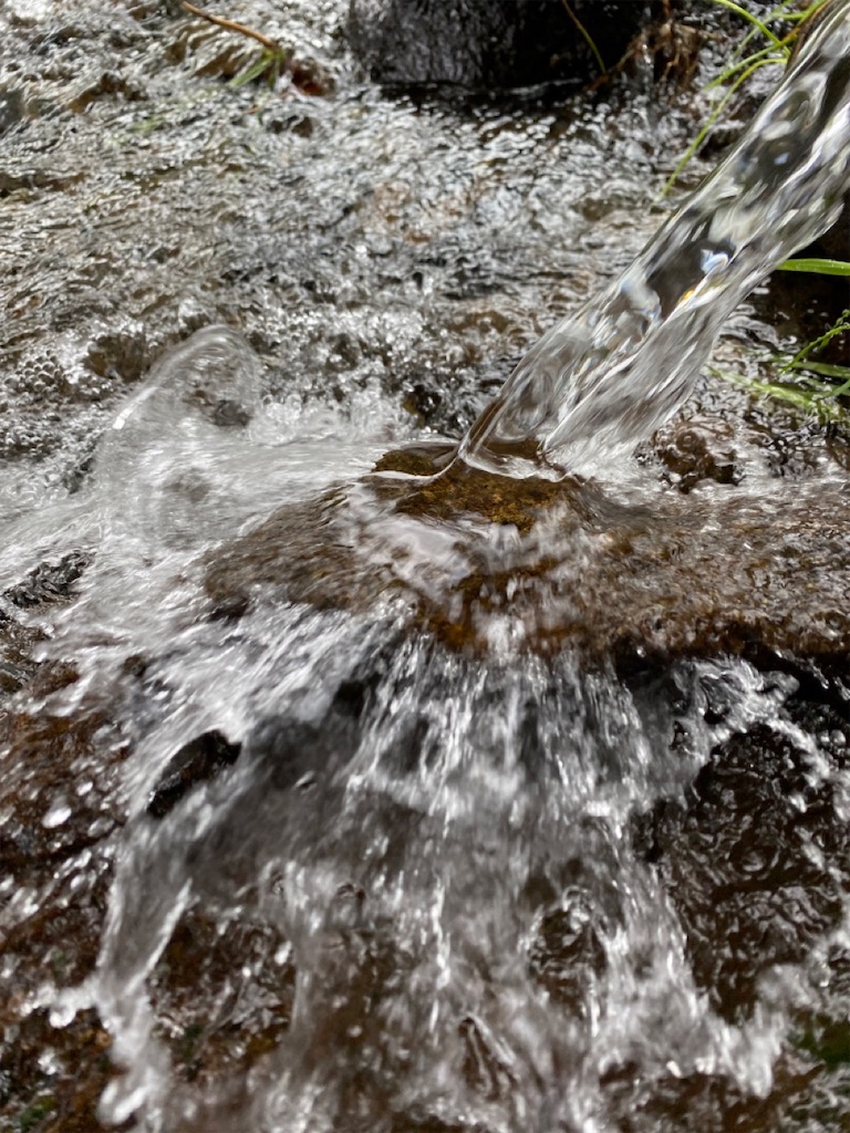 f:id:dragontone:20230911191426j:image f:id:dragontone:20230911191426j:image