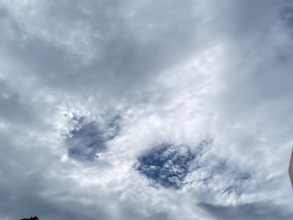 f:id:dragontone:20230911191453j:image f:id:dragontone:20230911191453j:image