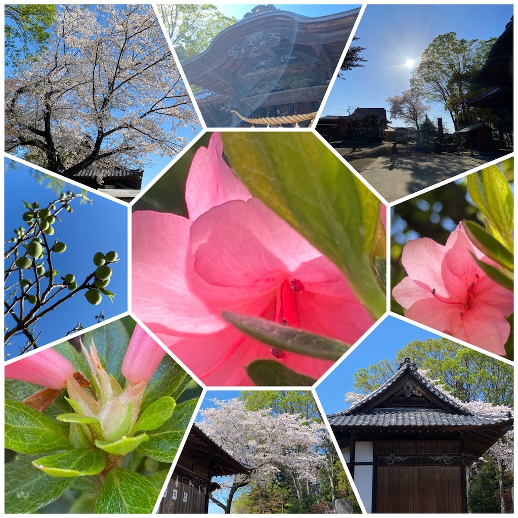 f:id:dragontone:20240410181514j:image
