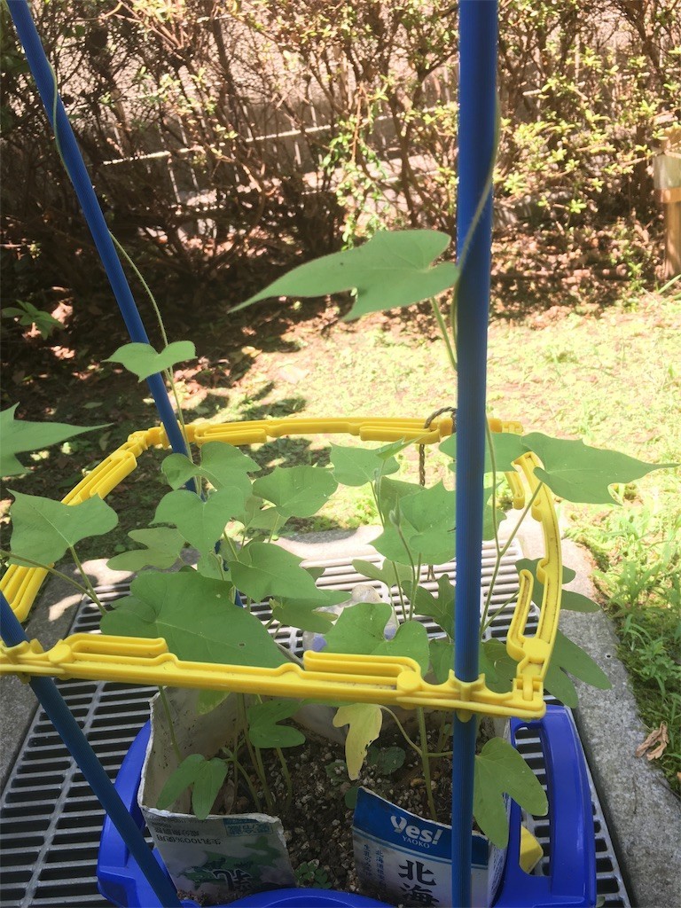 f:id:dragstarclassic:20170715111307j:image