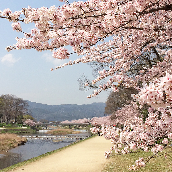 f:id:dramaticlife-japan:20170417191255j:plain