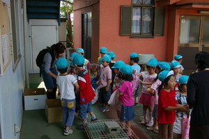 f:id:draper:20070606115622j:image