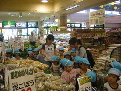 f:id:draper:20070606115829j:image