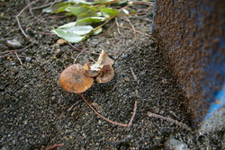 f:id:draper:20070615094517j:image
