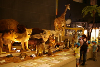 f:id:draper:20070712122440j:image f:id:draper:20070712122440j:image