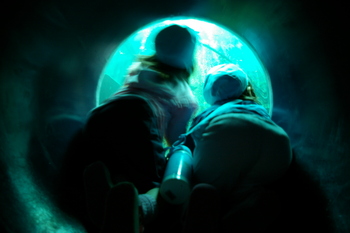 f:id:draper:20070713101401j:image