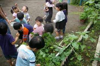 f:id:draper:20070719170719j:image