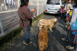 f:id:draper:20071031174248j:image