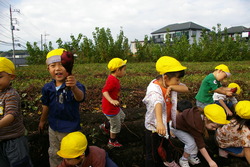 f:id:draper:20071031174810j:image