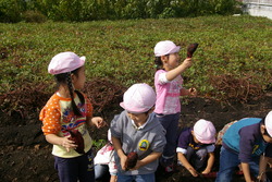 f:id:draper:20071031174906j:image