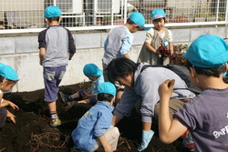 f:id:draper:20071031175125j:image