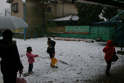 f:id:draper:20080123124508j:image