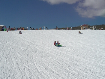 f:id:draper:20080125161026j:image