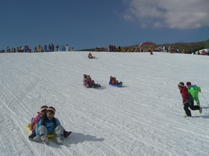 f:id:draper:20080125161142j:image