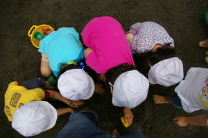 f:id:draper:20080630150315j:image
