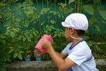 f:id:draper:20080709134258j:image