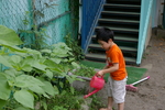f:id:draper:20080709134300j:image