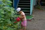 f:id:draper:20080709134302j:image