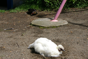 f:id:draper:20080827145011j:image
