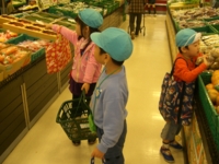f:id:draper:20081117162121j:image