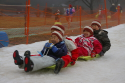 f:id:draper:20090123161154j:image