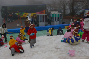 f:id:draper:20090123162703j:image