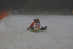 f:id:draper:20090123165819j:image
