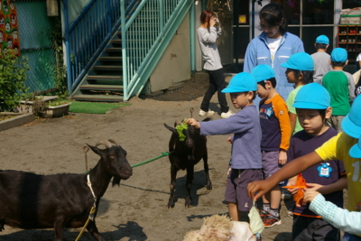 f:id:draper:20091016200809j:image