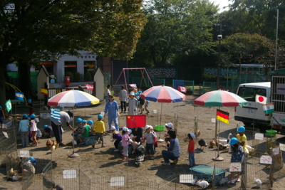 f:id:draper:20091016200818j:image