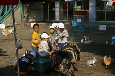 f:id:draper:20091016200937j:image