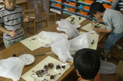 f:id:draper:20091030161724j:image