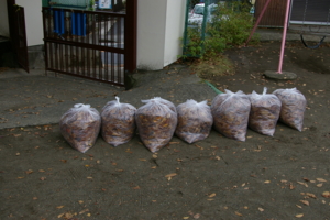 f:id:draper:20091112163320j:image