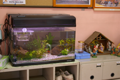 f:id:draper:20091126161644j:image