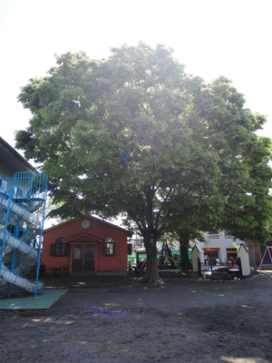 f:id:draper:20100513194051j:image