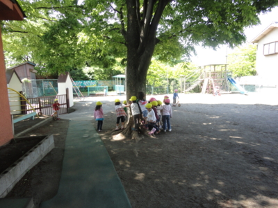 f:id:draper:20100513194129j:image