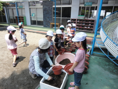 f:id:draper:20100525180115j:image