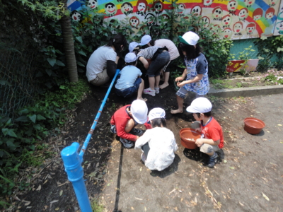 f:id:draper:20100525180126j:image