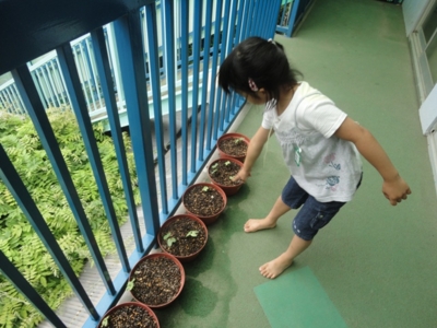 f:id:draper:20100608221849j:image