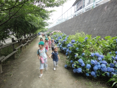f:id:draper:20100618190952j:image