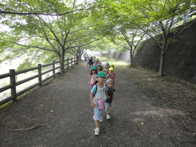 f:id:draper:20100618190953j:image