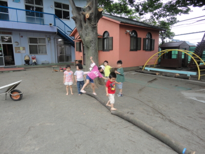 f:id:draper:20100621173405j:image