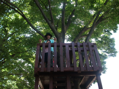 f:id:draper:20100903185035j:image