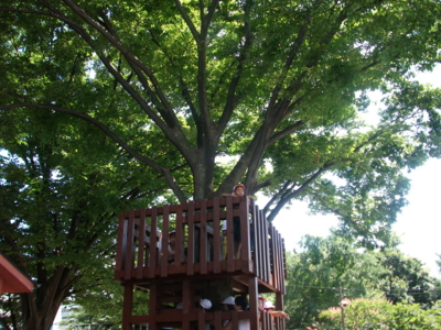 f:id:draper:20100903190130j:image