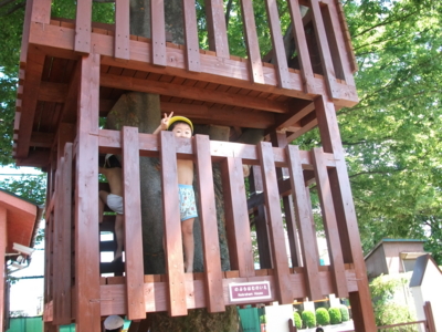 f:id:draper:20100903190149j:image